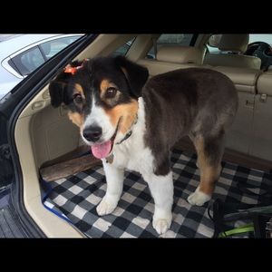 Meet your Posher, Aspen